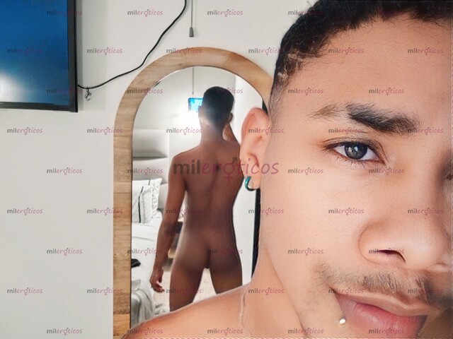 FOTOS DE POLLO LECHERO VERSÁTIL EN LA CIUDAD AGUANTADOR