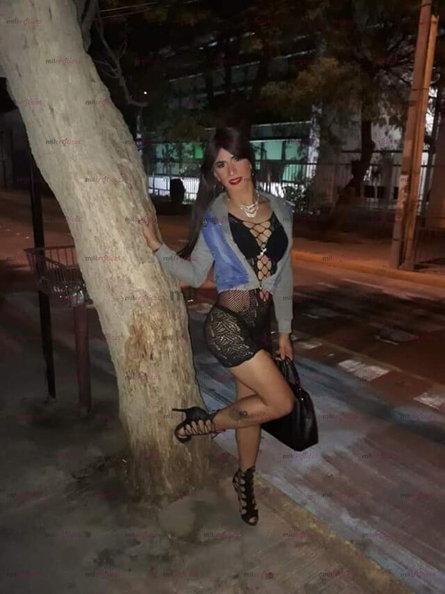 FOTOS DE CANSADO DE LO MISMO EXPERTA EN PRINCIPIANTES 22 CM REALES APT PRIVADO