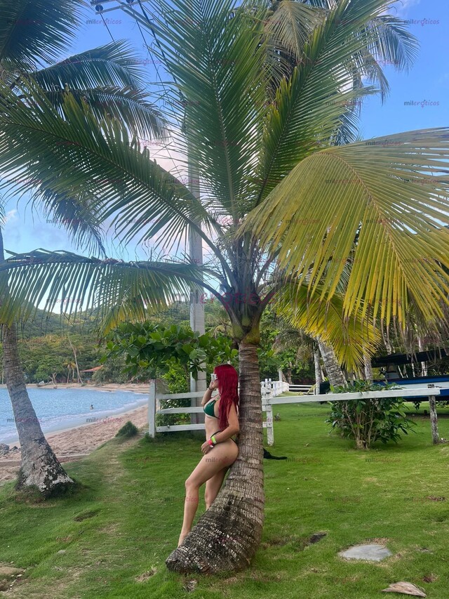 FOTOS DE HERMOSA COLOMBIANA DE SUPER LUJO ANDREA TU COMPAÑÍA PERFECTA