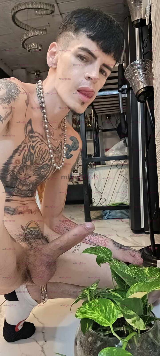FOTOS DE SERIO FLACO VERGON ACTIVO RESERVADO VENTA DE VIDEO LLAMADAS Y VIDEO CASERITOS