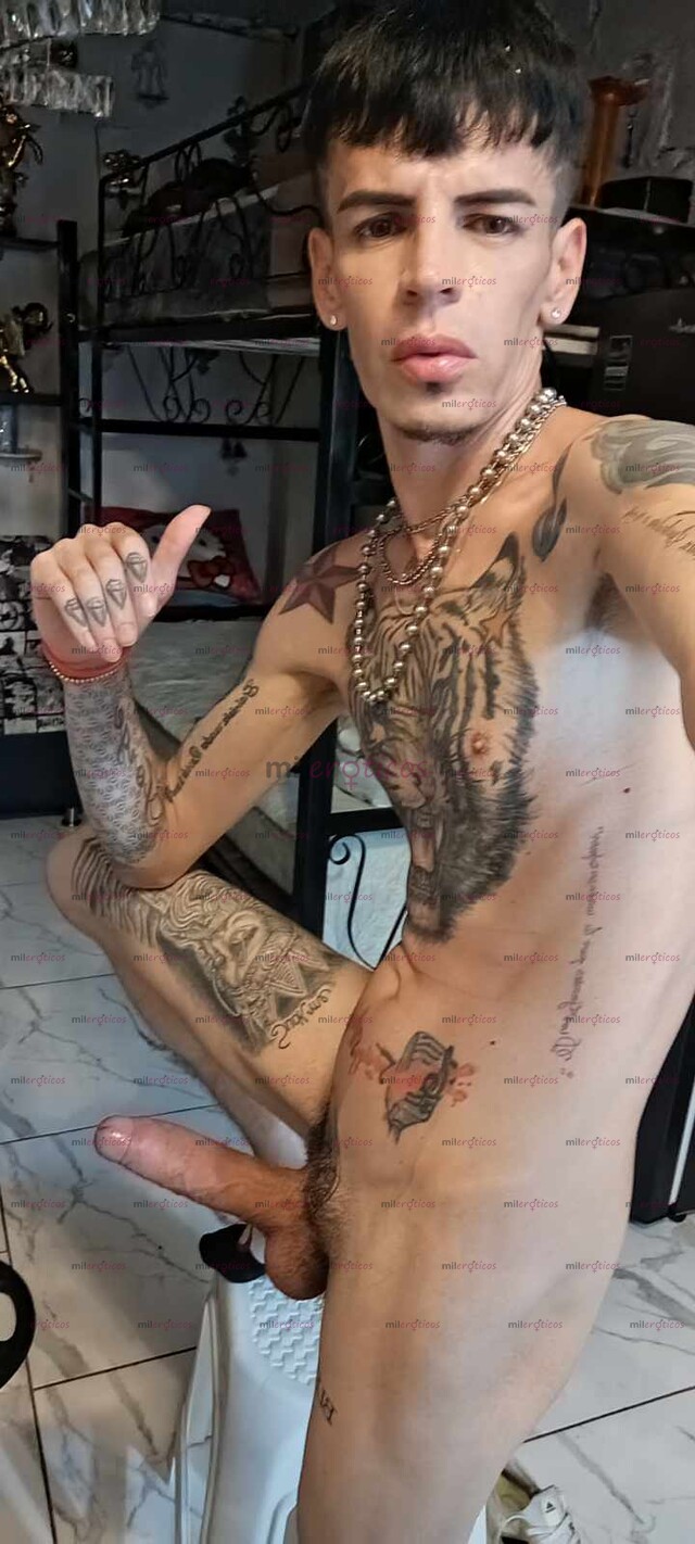 FOTOS DE SERIO FLACO VERGON ACTIVO RESERVADO VENTA DE VIDEO LLAMADAS Y VIDEO CASERITOS
