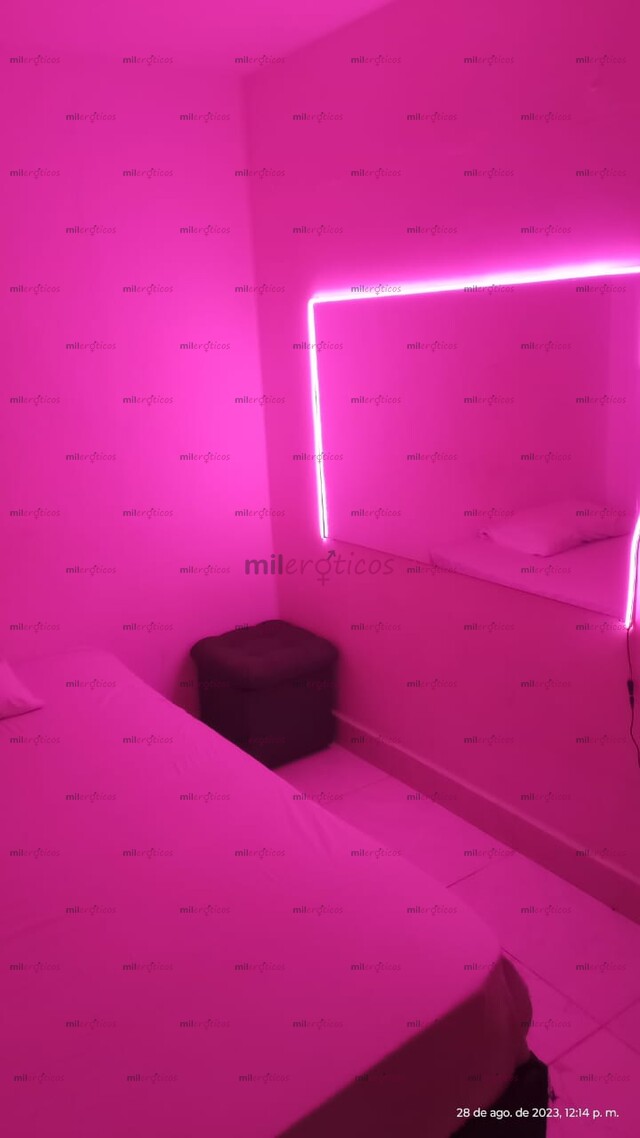 FOTOS DE TRABAJA CON NOSOSTRAS, EXCELENTES INGRESOS. APTO ACREDITADO