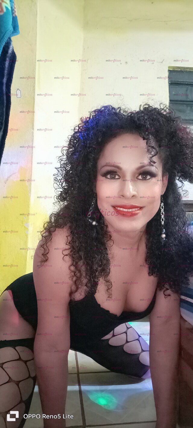 FOTOS DE TRIVIANI CHICA TRAVESTI ANÍMATE A PASARLA RICO PAPI