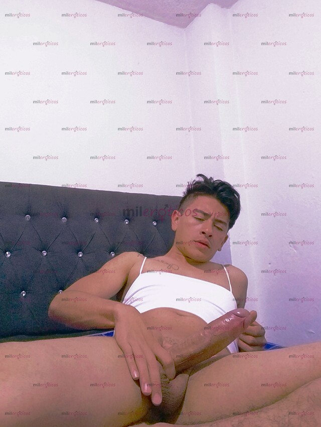 FOTOS DE POLLO COSTEÑO PINTA, ASEADO, VERGON, VERSÁTIL.