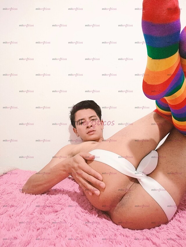 FOTOS DE POLLO COSTEÑO PINTA, ASEADO, VERGON, VERSÁTIL.