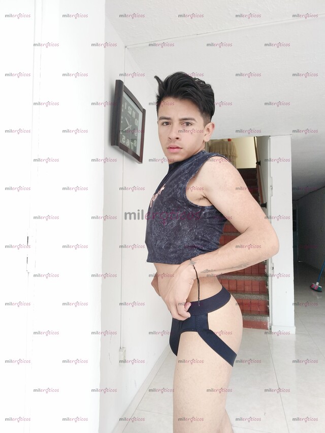 FOTOS DE POLLO COSTEÑO PINTA, ASEADO, VERGON, VERSÁTIL.