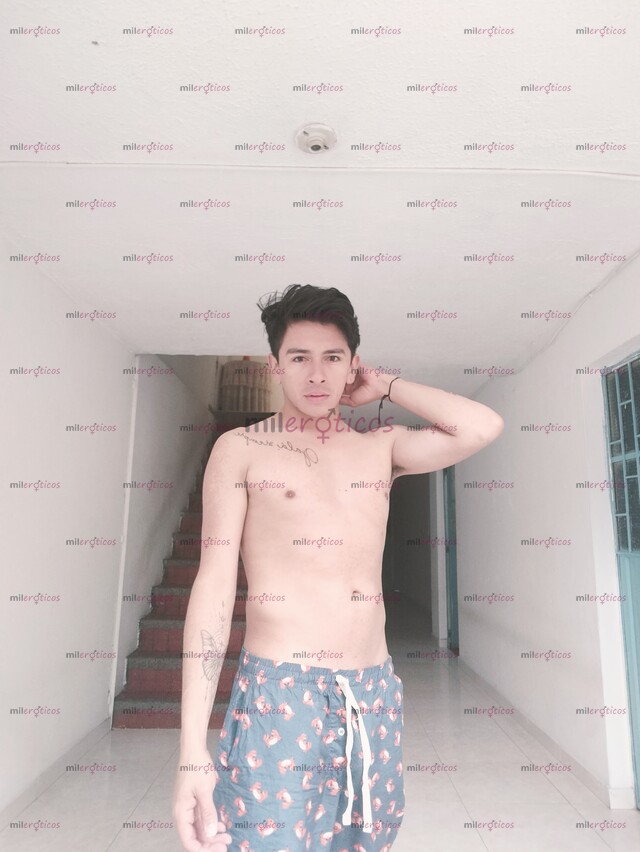 FOTOS DE POLLO COSTEÑO PINTA, ASEADO, VERGON, VERSÁTIL.