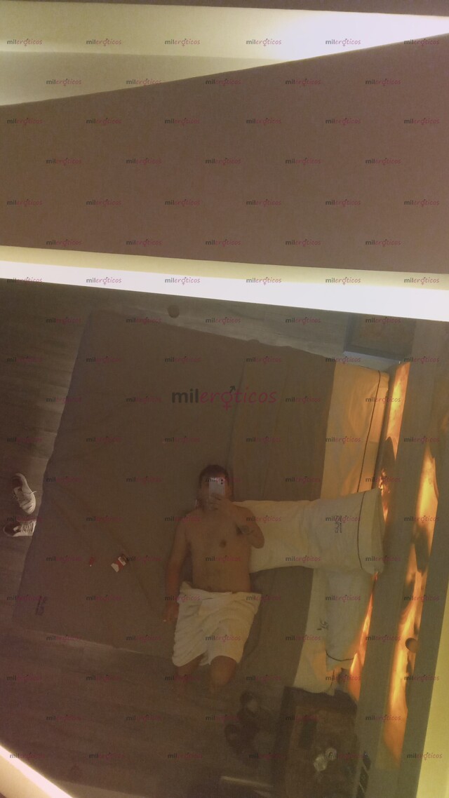 FOTOS DE HOLA SOY UN OSITO LIMPIO LA MEJOR EXPERIECIA LA VIVIRAS CONMIGO