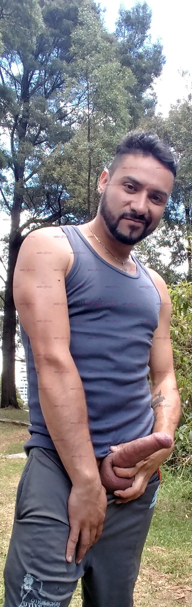 FOTOS DE MACHO ARRECHO VERGÓN ACTIVO LECHERO 20 CM GRUESO