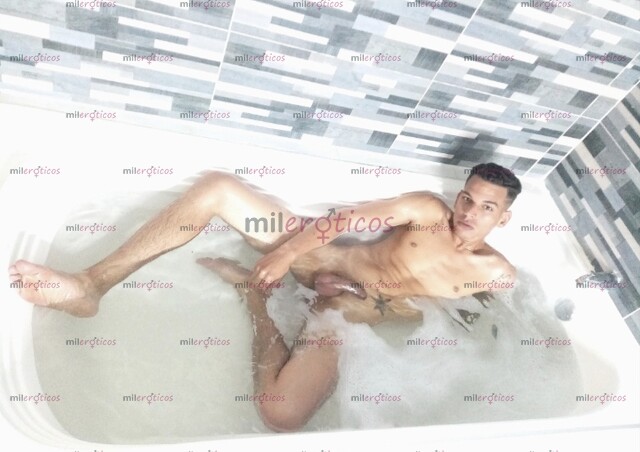 FOTOS DE POLLO VERGÓN Y LECHERO ,NUEVO EN LA CIUDAD