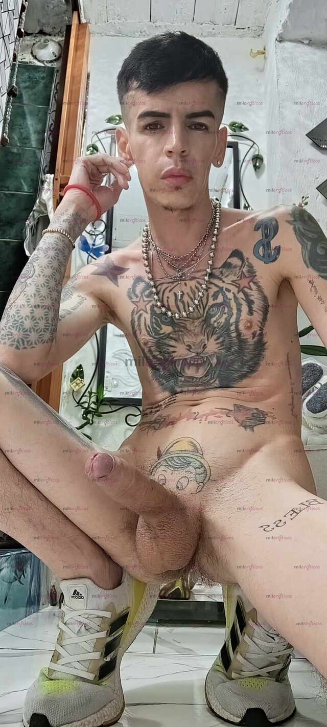 FOTOS DE FLACO ACTIVO VERGON SERIO VENTA VIDEOS CASEROS Y VIDEO LLAMADAS HOT