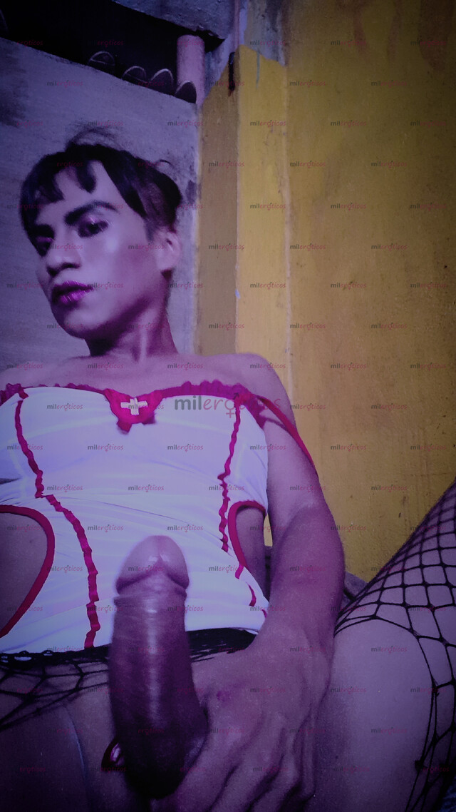 FOTOS DE SERE TU PERRITA CALIENTE (SOLO X $350 PES.) ASTA ASERTE VENIR EN MI BOCA