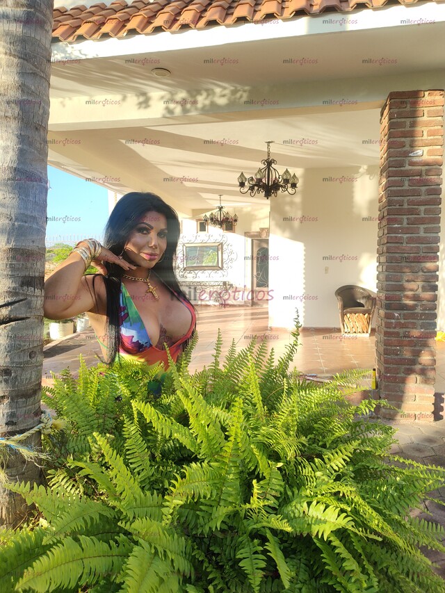 FOTOS DE CRYSTAL LA DIOSA DEL PLACER !!! CON DEPARTAMENTO CÉNTRICO Y DISCRETO.3310078575