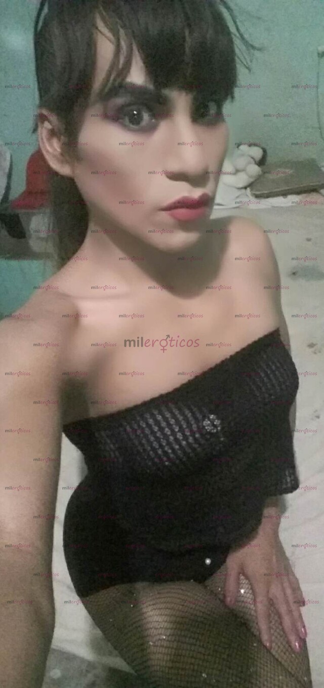 FOTOS DE PASIVA ACTIVA O VERSATIL (ME MIDE18 CM APRX) PARA TY