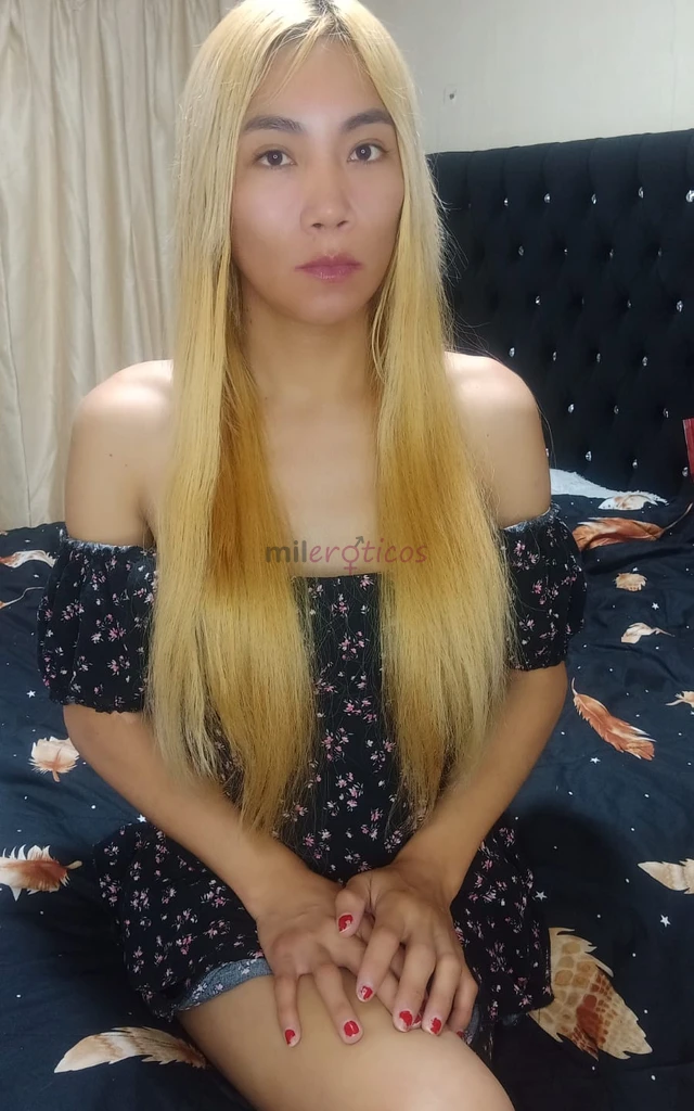 Hola bb soy nelly una chica trans femenina soy alegre tranquila y divertida dispuesta a complacerte y satisfacer tus fantasias que tanto has deseado a...
