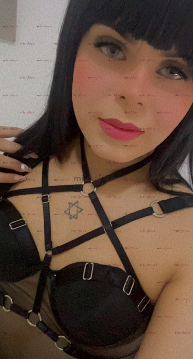 FOTOS DE OFERTA EXCLUSIVA. ANTHO TRANS EN BOSTON NORTE. MASAJES EROTICOS Y PROFESIONALES