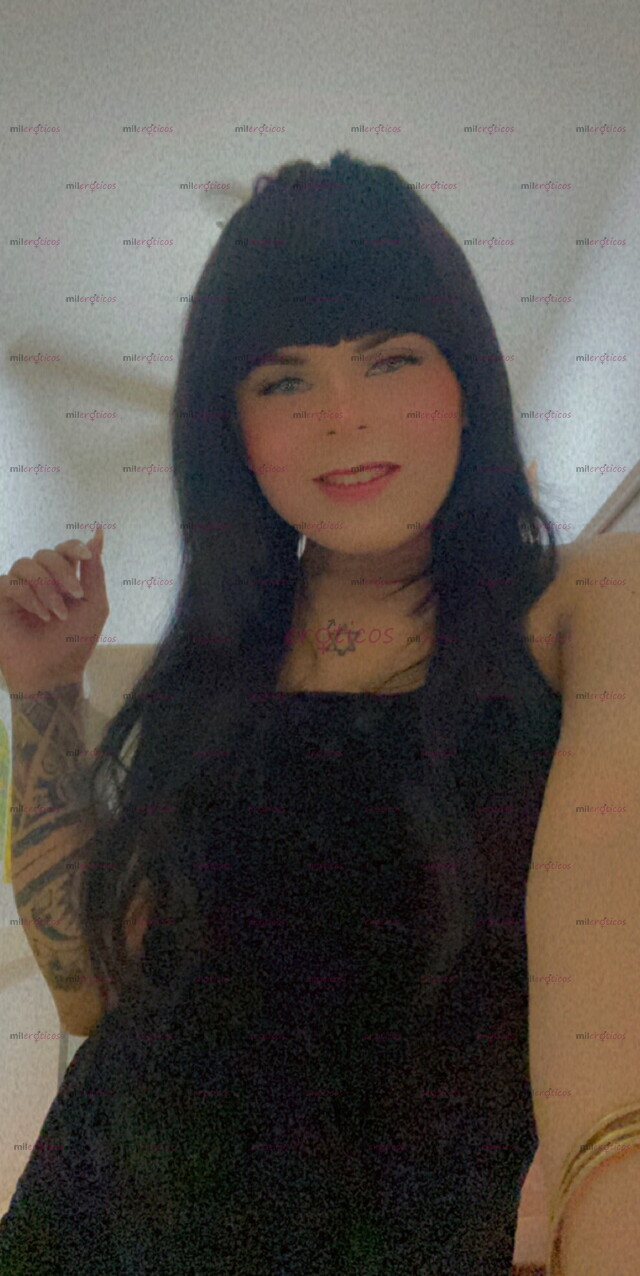FOTOS DE OFERTA EXCLUSIVA. ANTHO TRANS EN BOSTON NORTE. MASAJES EROTICOS Y PROFESIONALES