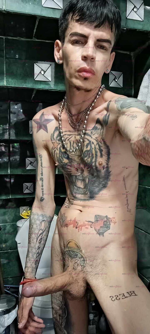 FOTOS DE HOLA YO DELGADO SERIO ACTIVO RESERVADO VENTA DE VIDEITOS Y LLAMADAS