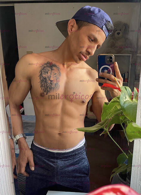 FOTOS DE REGRESA UNO DE LOS MEJORES ESCORTS, TEMPORADA CORTA