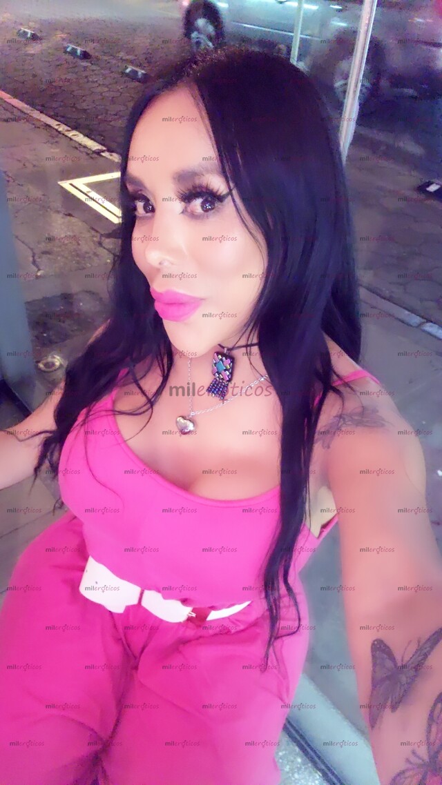 FOTOS DE PAMELITA SHEMALE FIESTERA TRIOS INTERACTIVA $$$$$$$$$$$$$$$$$$$$