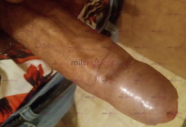 FOTOS DE VAMOS A PASARLA INCREÍBLE HARÉ QUE TE MOJES TODA Y TE HARÉ GEMIR COMO NUNCA