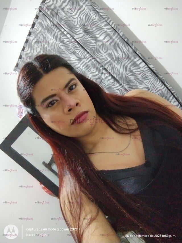 FOTOS DE HOLA QUE TAL MI NOMBRE ES NORA LA VENENO SOY UN CHICO QUE LE GUSTA VESTIRSE DE M