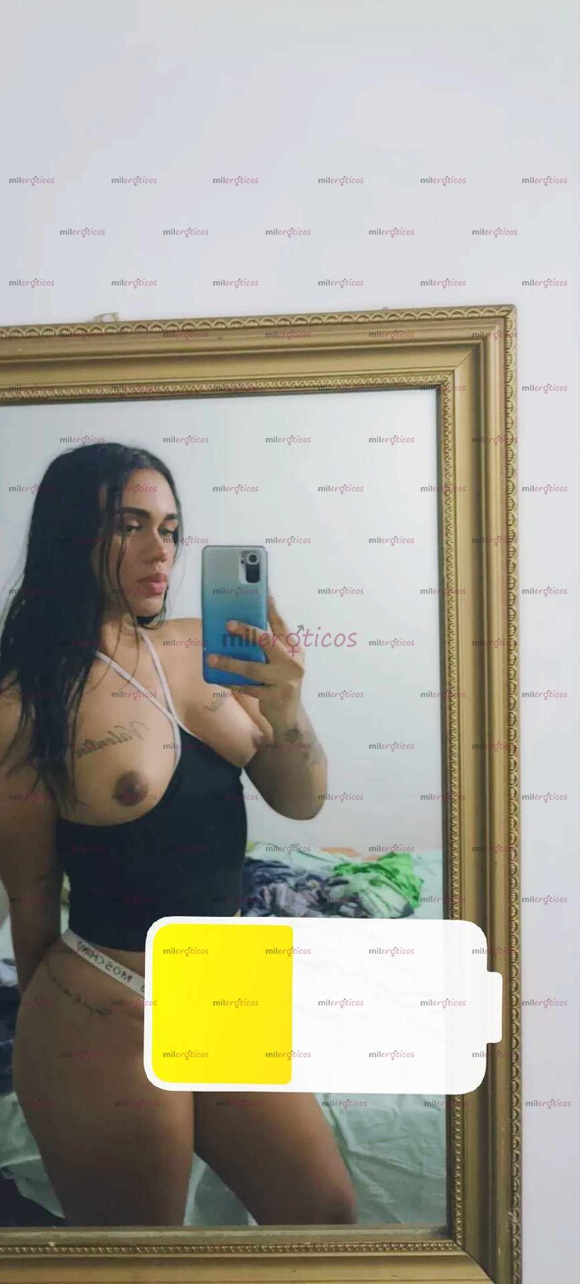 FOTOS DE SOLO POR UNOS DÍAS CITIO DISPONIBLE HOTEL VEN Y DISFRUTA DE UNA NUEVA COMPAÑÍA