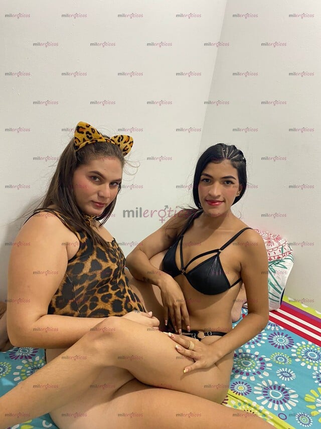 FOTOS DE HOLA MIS AMORES EL MEJOR TRIO DE FIN DE AÑO CON RICA PATILLA
