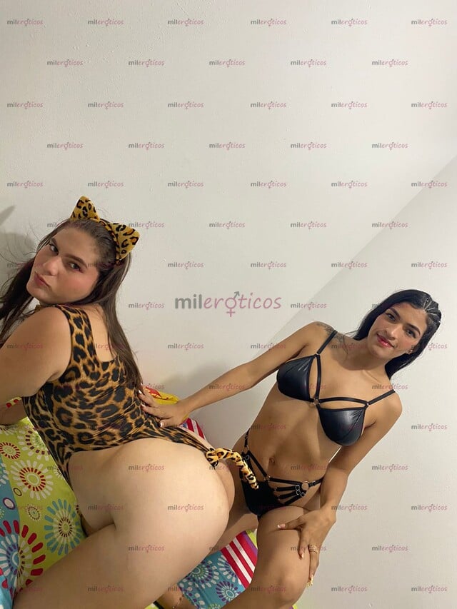 FOTOS DE HOLA MIS AMORES EL MEJOR TRIO DE FIN DE AÑO CON RICA PATILLA