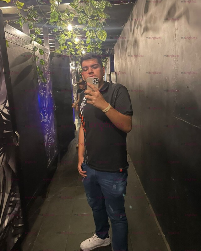 FOTOS DE SANTANDEREANO ROBUSTO EN ANTIOQUIA VERSÁTIL COMPLACIENTE