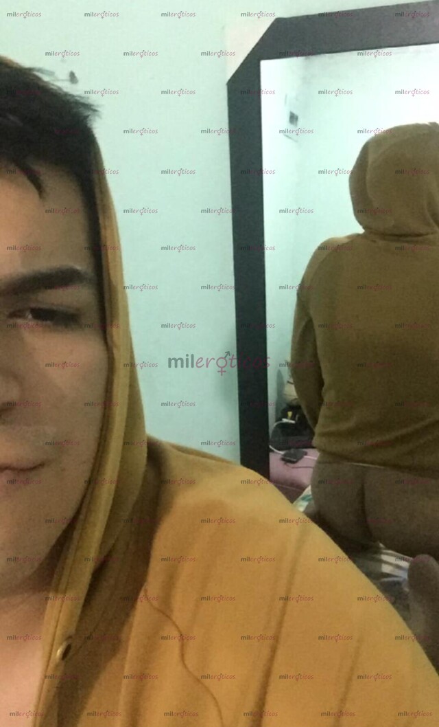 FOTOS DE SANTANDEREANO ROBUSTO EN ANTIOQUIA VERSÁTIL COMPLACIENTE