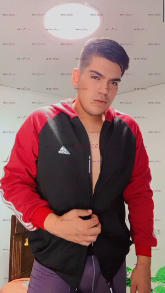 FOTOS DE SANTANDEREANO ROBUSTO EN ANTIOQUIA VERSÁTIL COMPLACIENTE