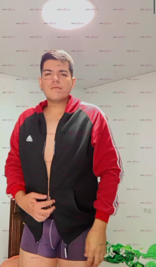 FOTOS DE SANTANDEREANO ROBUSTO EN ANTIOQUIA VERSÁTIL COMPLACIENTE