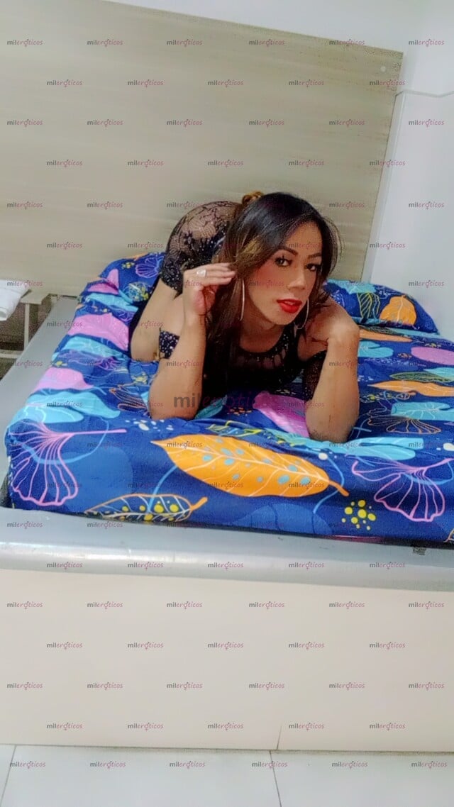 FOTOS DE ÚLTIMO DÍAQUIERES ENFIESTARTE Y NO SABES CON QUIÉN YO TE COMPLAZCO EN TODO SUPER