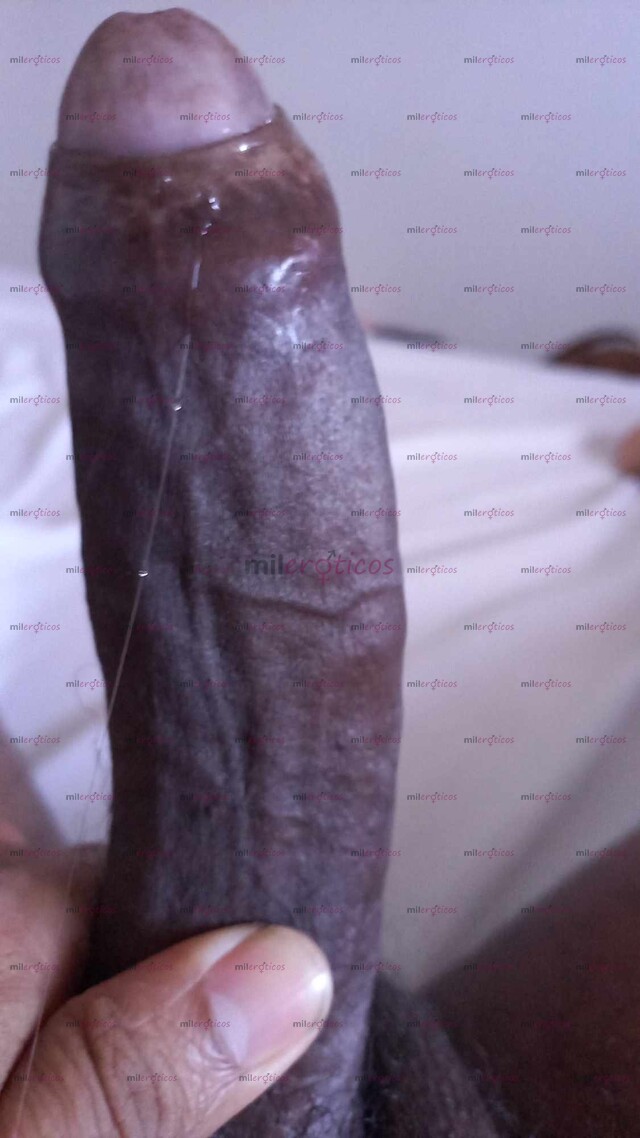 FOTOS DE SERVICIO VIP DE COMPAÑÍA SEXUAL PARA DAMAS