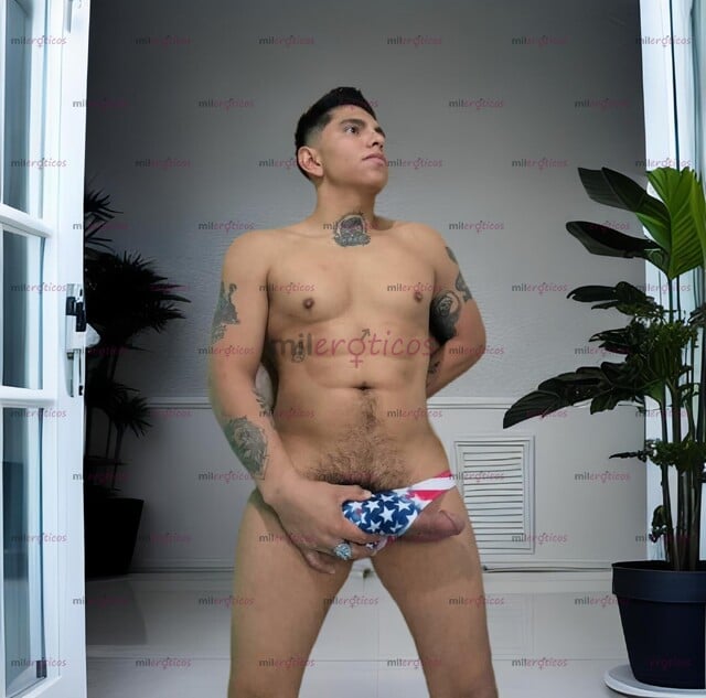 FOTOS DE PETTER TWINK VERGON 22CM, MACHO SEMENTAL 24HRS. CON LUGAR.
