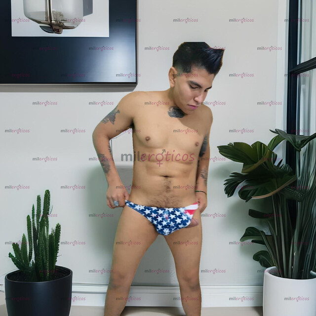 FOTOS DE PETTER TWINK VERGON 22CM, MACHO SEMENTAL 24HRS. CON LUGAR.