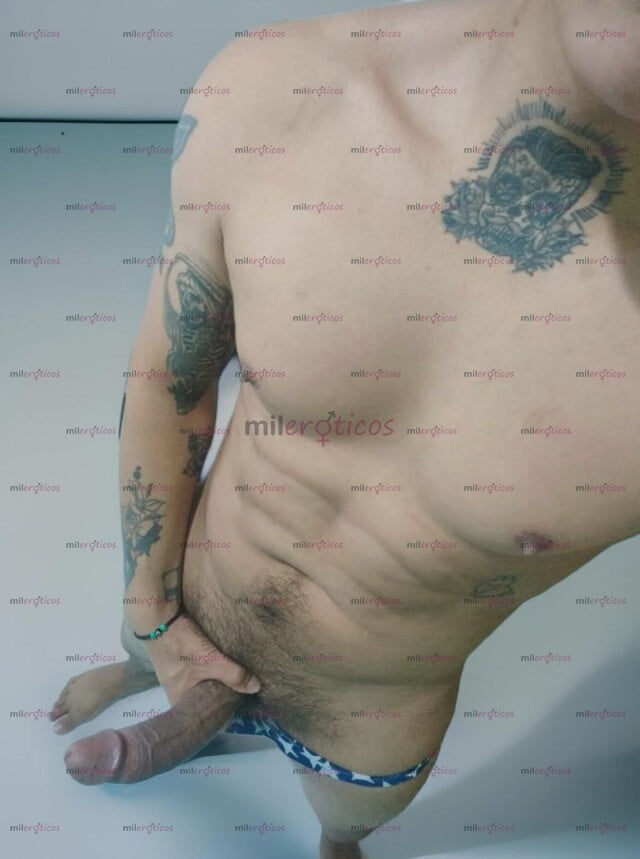 FOTOS DE PETTER TWINK VERGON 22CM, MACHO SEMENTAL 24HRS. CON LUGAR.