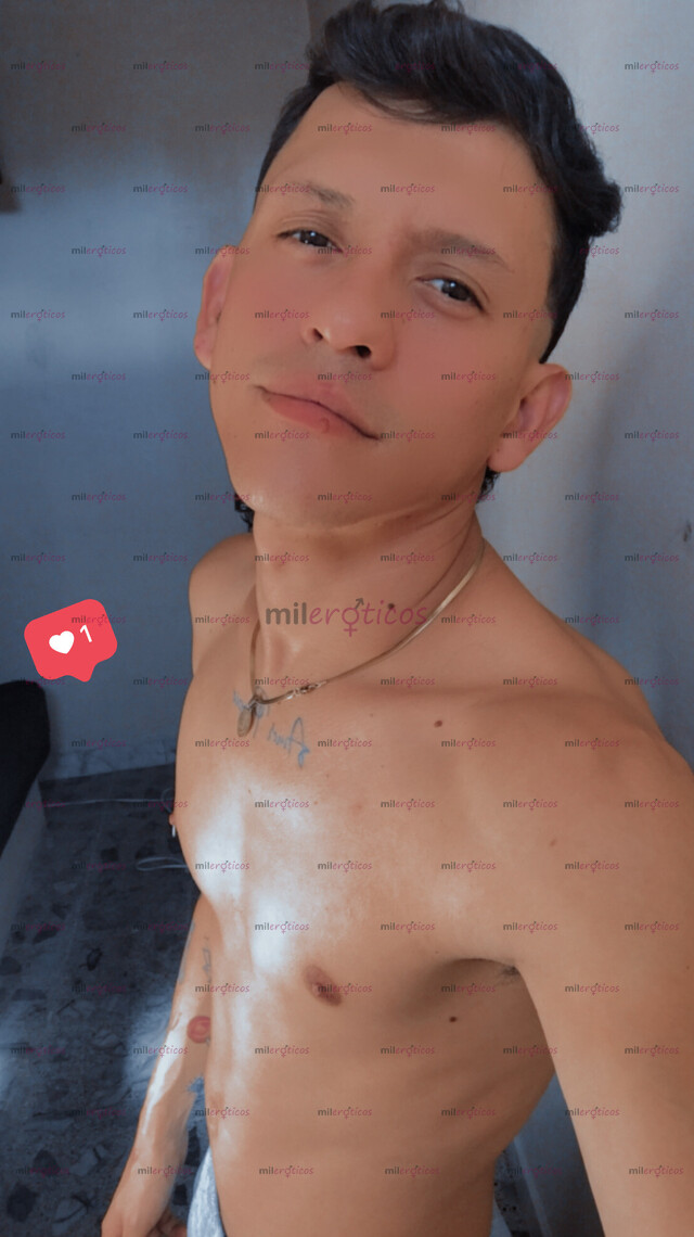 FOTOS DE POLLO TATUADO MORBOSO DIVERTIDO NUEVO VARONIL LECHERO