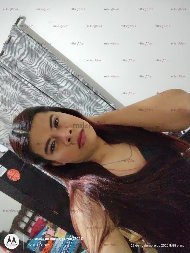 FOTOS DE HOLA SOY NORA LA VENENO UN NIÑO QUE SE VISTE DE MUJER