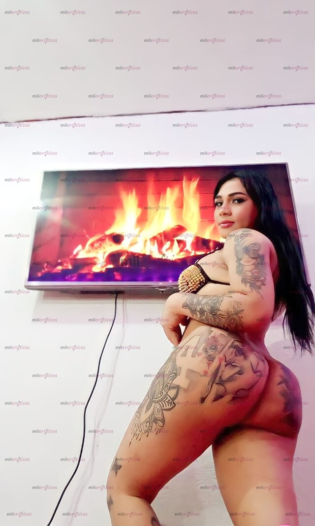 FOTOS DE PUENTES ARANDA LLEGÓ TU MEJOR SERVICIO VIRTUALES