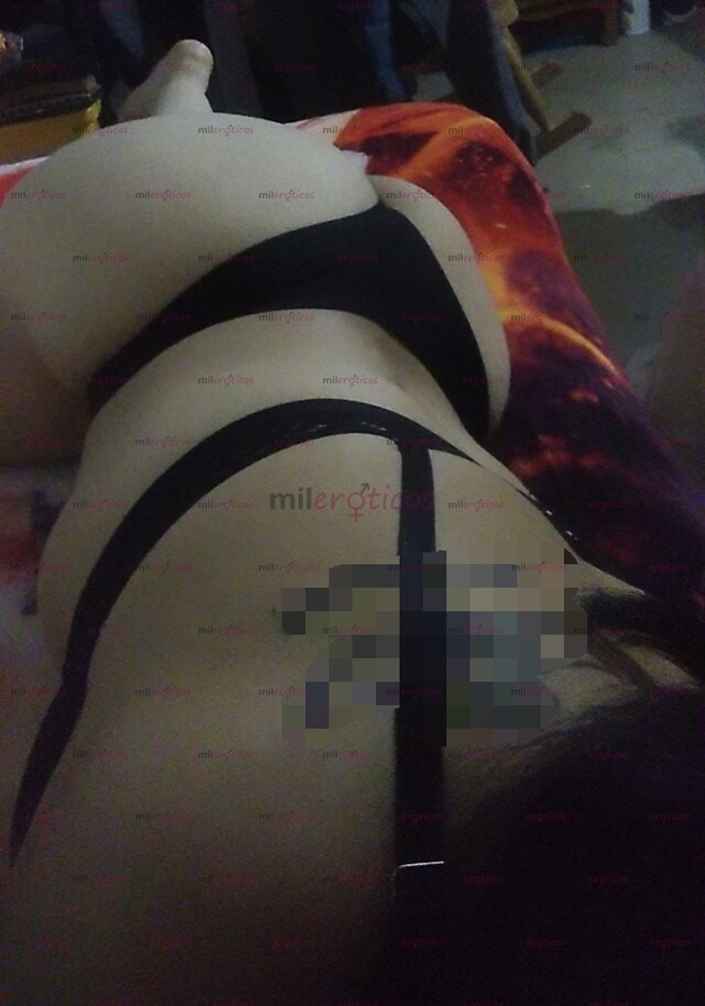 FOTOS DE PAPI ESTÁ NOCHE SERÉ TU PERRITA HASTA QUE SALGA EL SOL MI AMOR