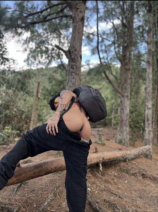 FOTOS DE HOLA SOY JOSÉ POLLO NEA VERSÁTIL DE MEDELLÍN