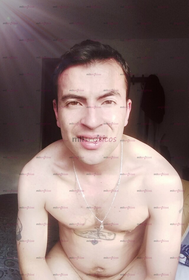 FOTOS DE POLLO SCORT INTERNACIONAL DOTADO LECHERO