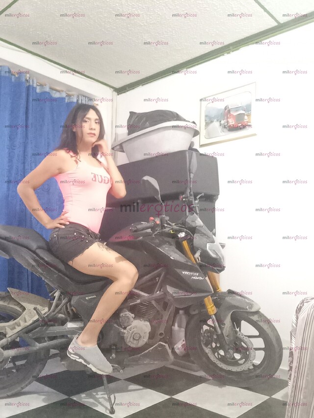 FOTOS DE ROUSSE DOMINANTE ARRECHA ACTIVA PASIVA 321 967 3020