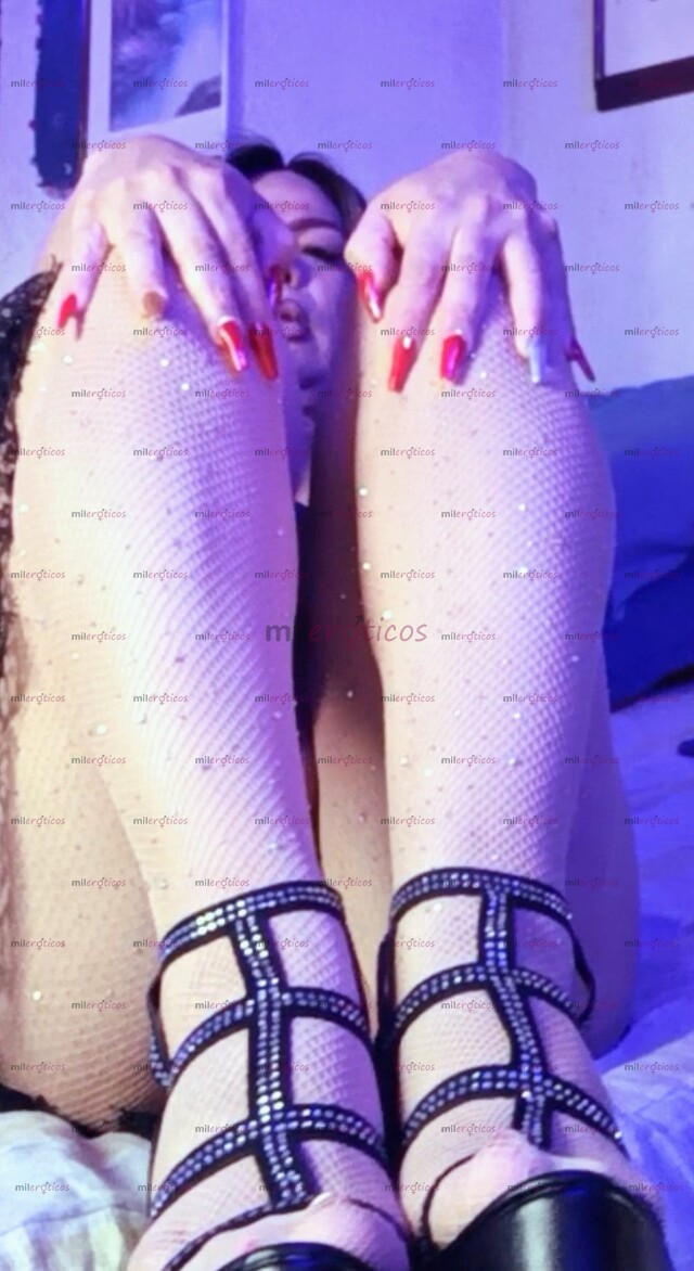 FOTOS DE PUTA EN CELO SOFISTICADA CON GANAS DE MACHO CULION Y LECHERO