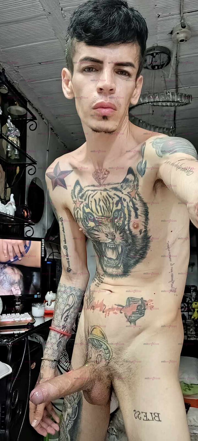 FOTOS DE FLACO ACTIVO MORBOSO ACTIVO VENTA DEVIDEO LLAMADAS Y VIDEITOS CASEROS RICO
