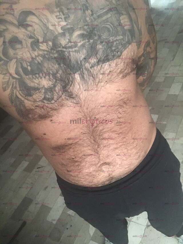 FOTOS DE MONTY CABALLERO DOTADO Y LECHERO NO TE ARREPENTIRÁS