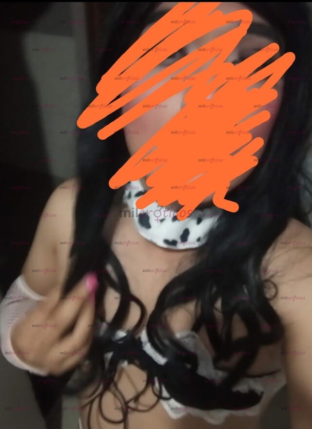 FOTOS DE SHEMALE PUTITA SUMISA ENCUENTRO( SIN COSTO SOLO HOY) CASUAL Y DISCRETO