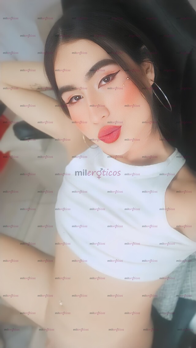 FOTOS DE KAILA CHICA TRANS EXÓTICA CALIENTE CULONA DISPONIBLE SIN SITIO3175677598 LLÁMAME